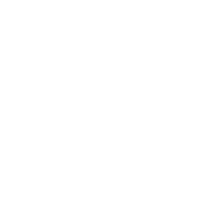 logo_white